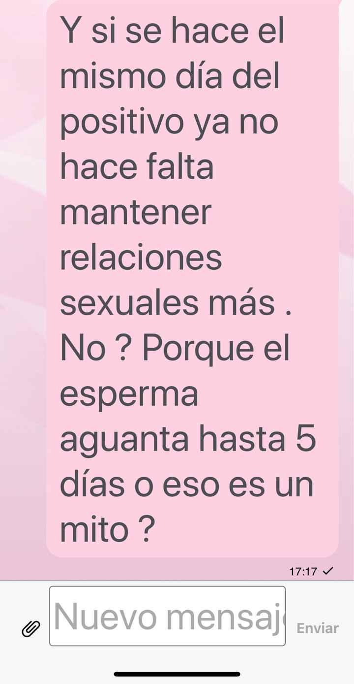 Buscadoras octubre 2019 - 4
