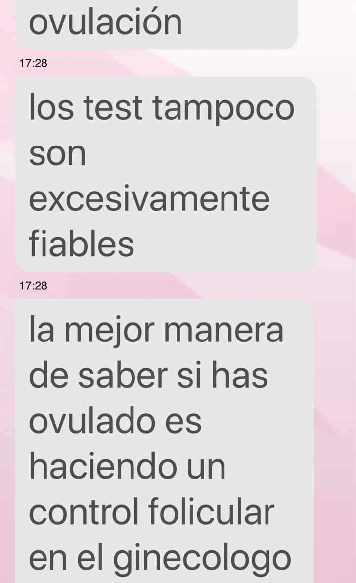 Buscadoras octubre 2019 - 2