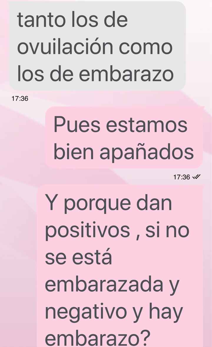 Buscadoras octubre 2019 - 5