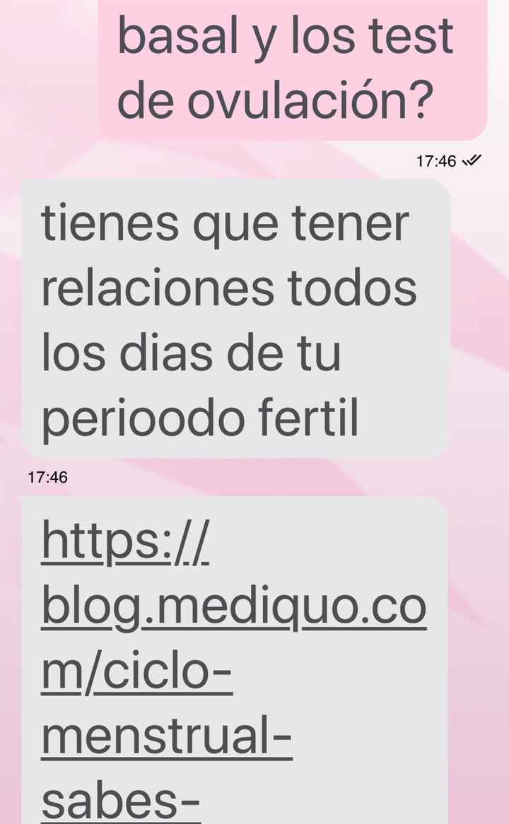 Buscadoras octubre 2019 - 3