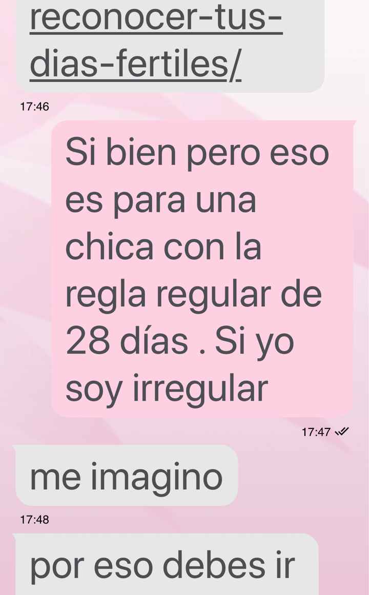 Buscadoras octubre 2019 - 4