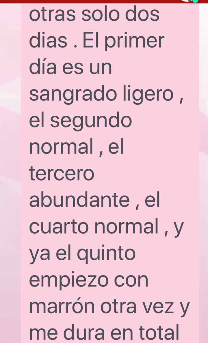 Buscadoras octubre 2019 - 4