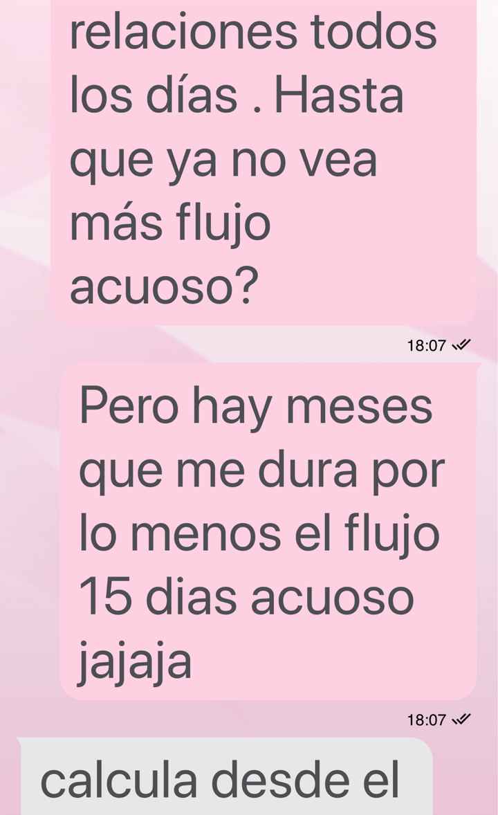 Buscadoras octubre 2019 - 2