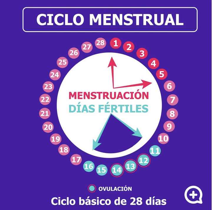 Buscadoras octubre 2019 - 5