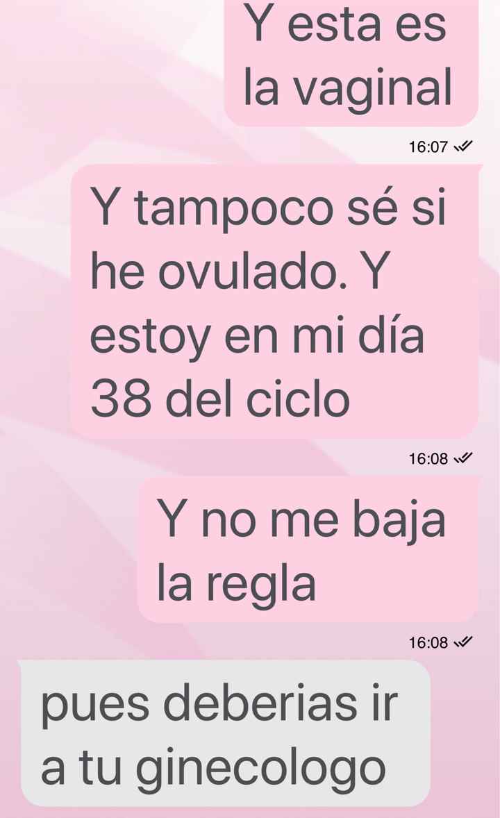 Buscadoras octubre 2019 - 1