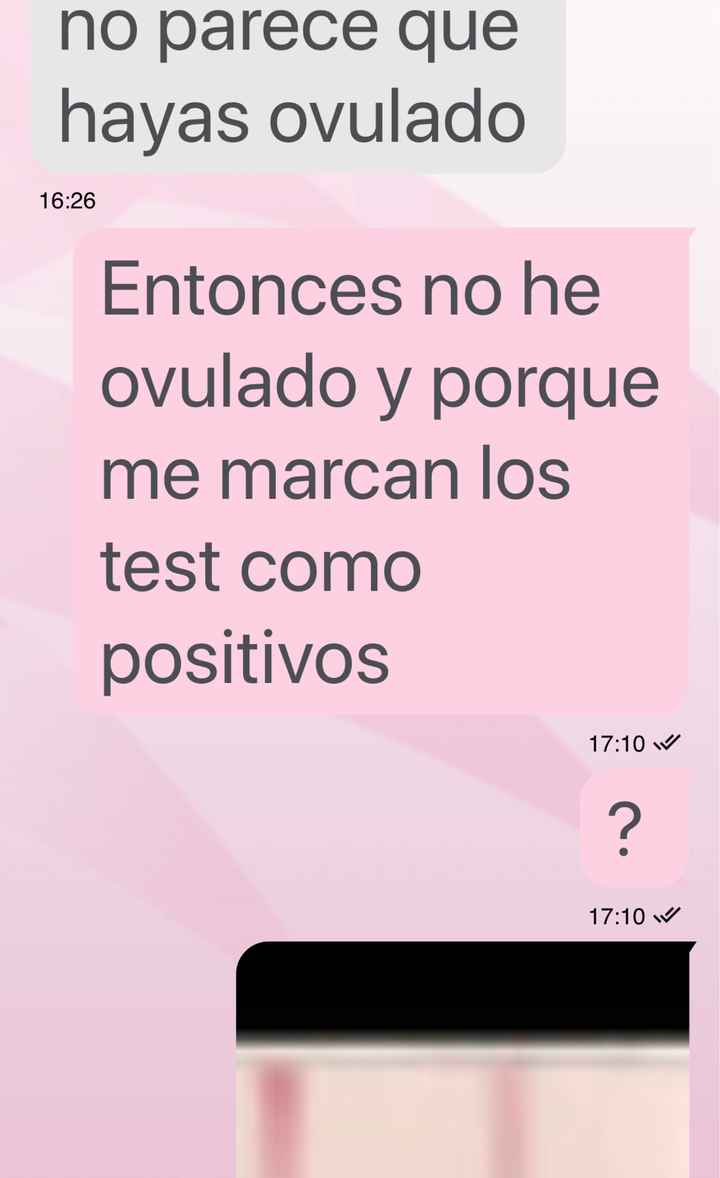 Buscadoras octubre 2019 - 2