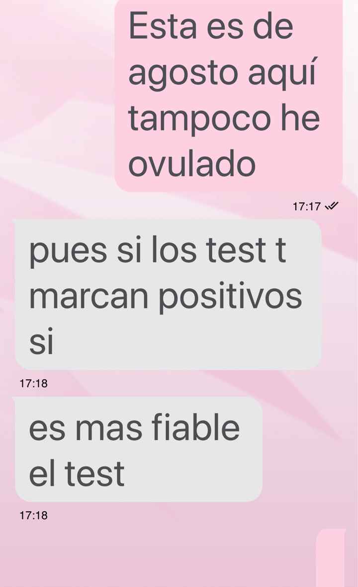 Buscadoras octubre 2019 - 4