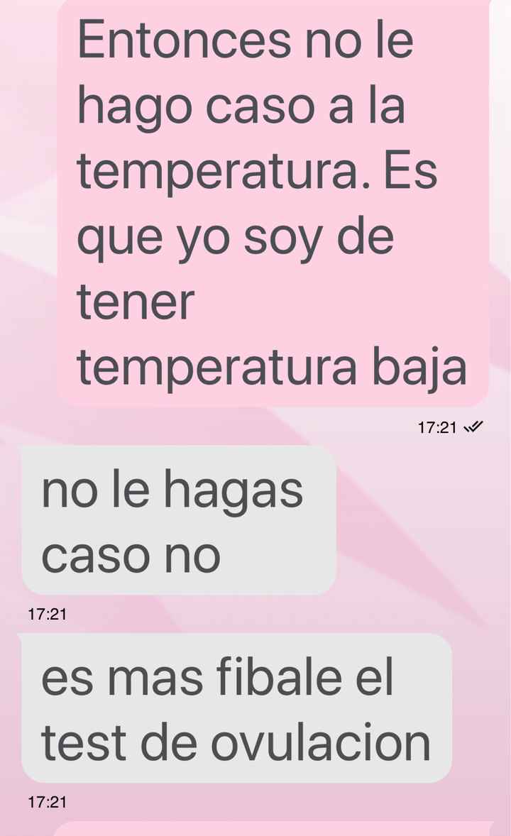 Buscadoras octubre 2019 - 6