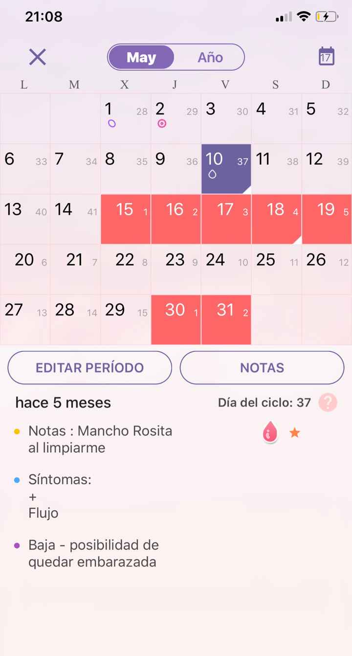 Buscadoras octubre 2019 - 4