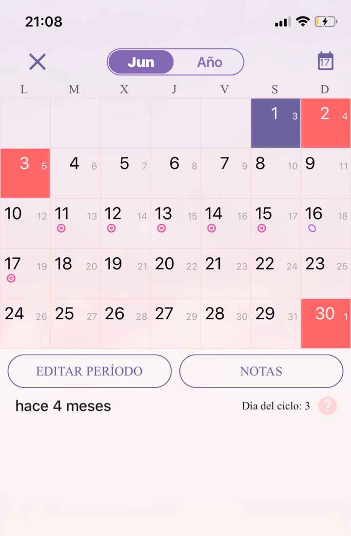 Buscadoras octubre 2019 - 5
