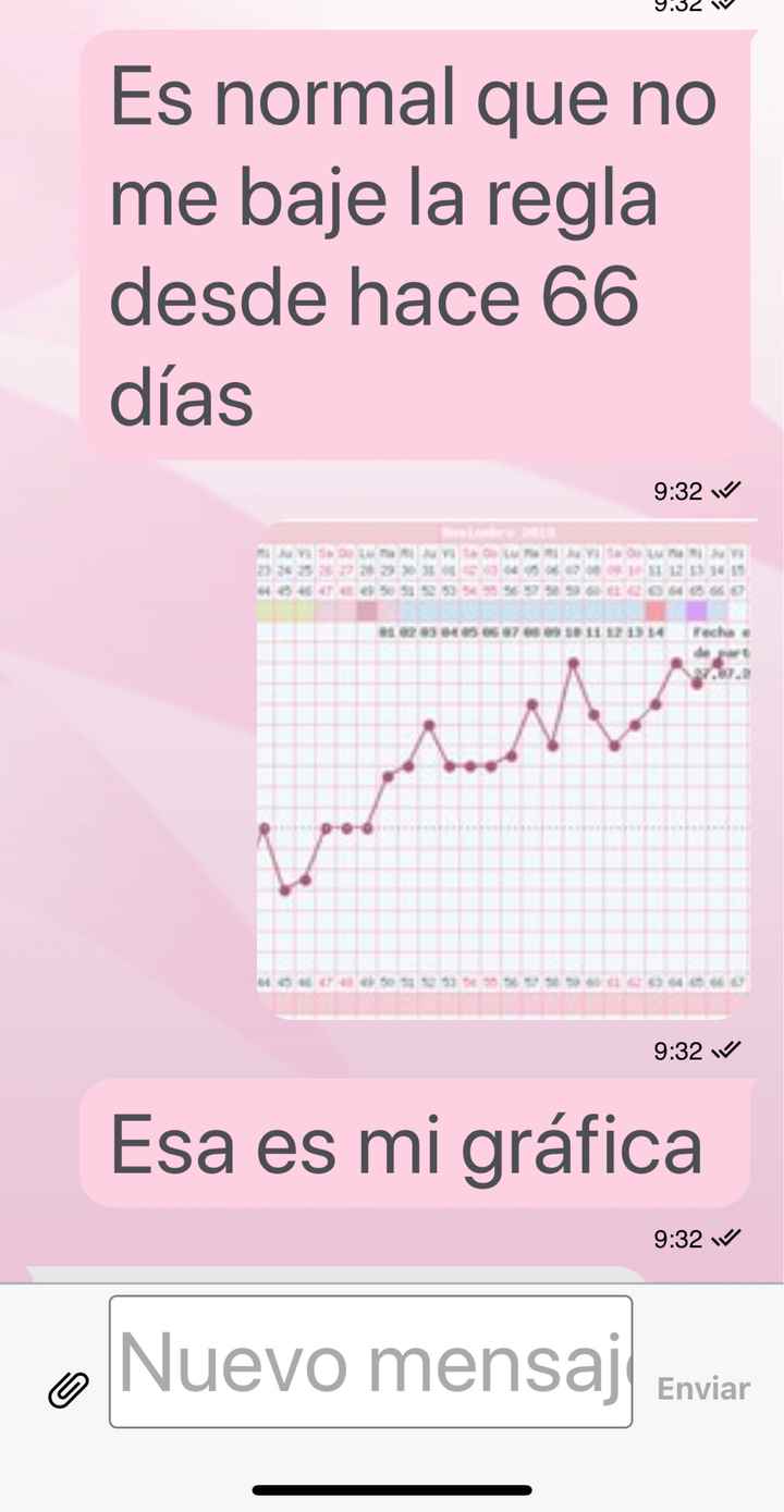 Buscadoras Noviembre 2019 - 3