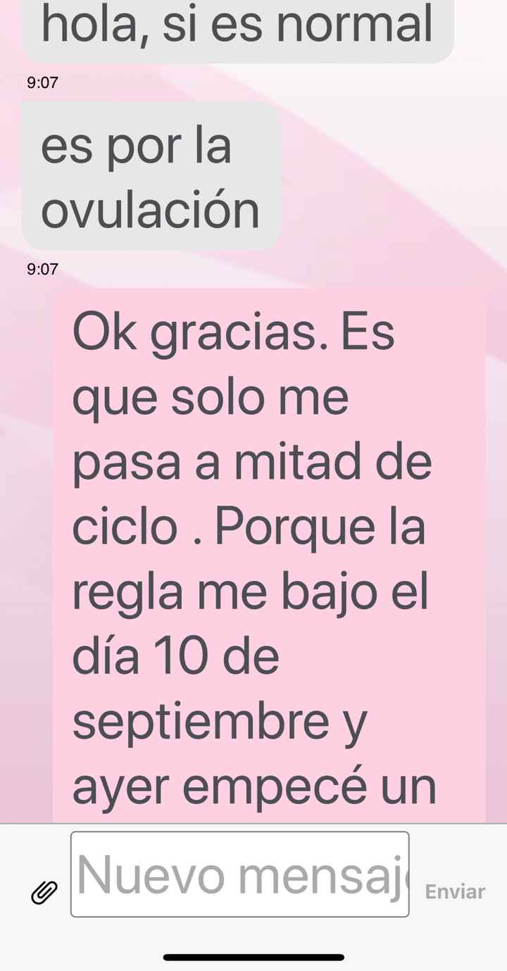 Buscadoras Noviembre 2019 - 2