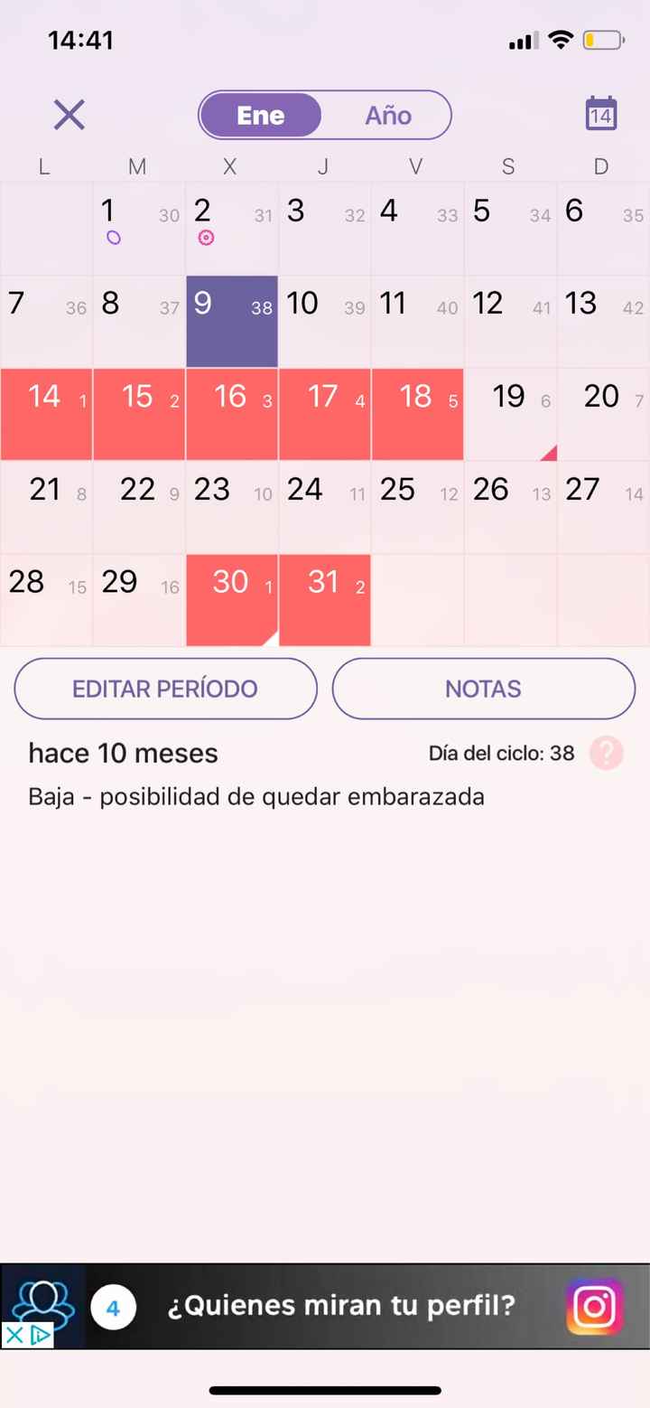 Buscadoras Noviembre 2019 - 1