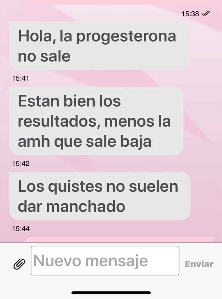 buscadoras febrero 2020 - 1