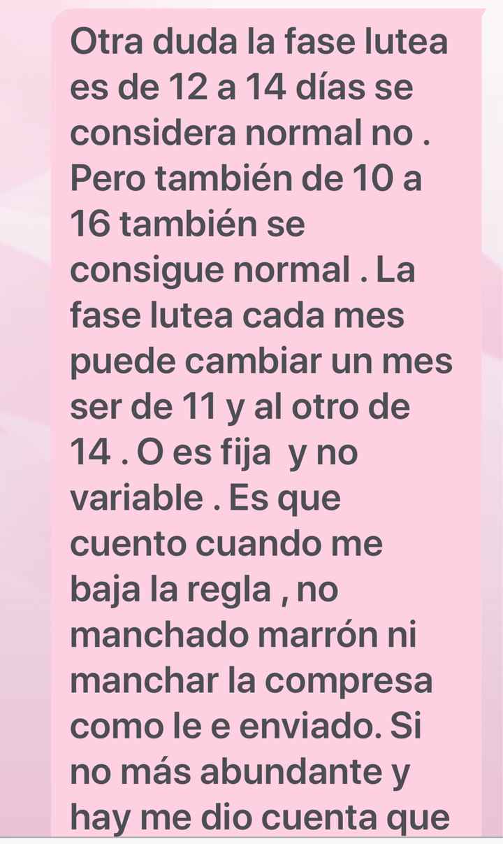 buscadoras febrero 2020 - 1