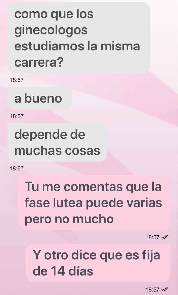 buscadoras febrero 2020 - 2