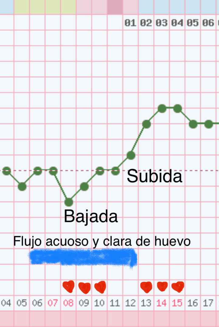 buscadoras febrero 2020 - 1