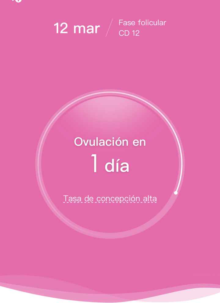Buscadoras Marzo 2020 - 1