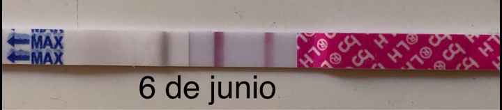 buscadoras de junio 2020🍀🍀 - 1
