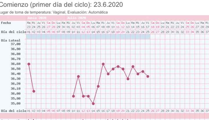 Buscadoras Julio 2020 ♥️ - 1