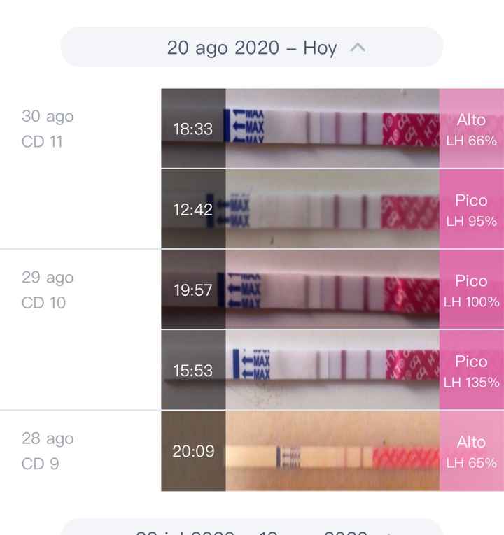 Buscadoras Septiembre 2020. 💕 - 1
