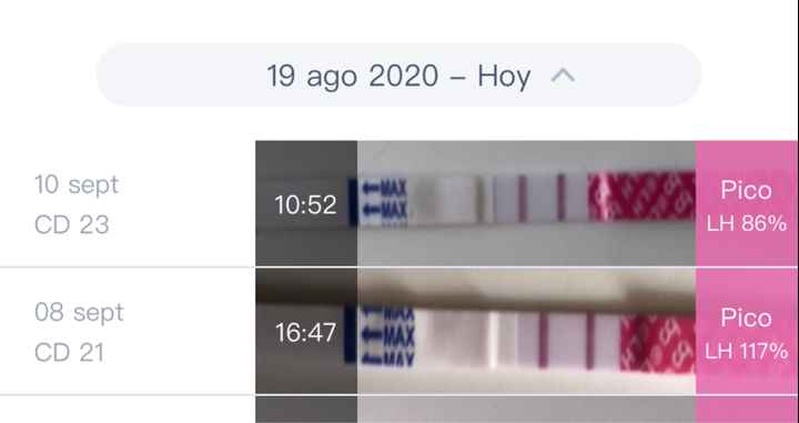 Buscadoras Septiembre 2020. 💕 - 3