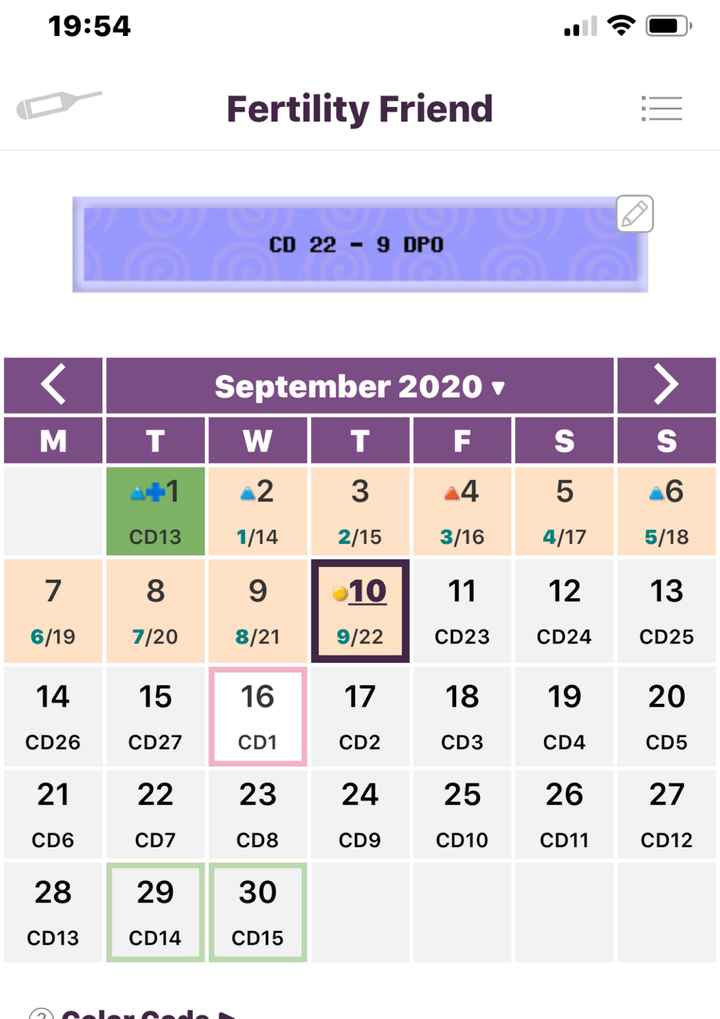 Buscadoras Septiembre 2020. 💕 - 10