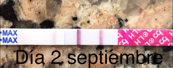 Buscadoras Septiembre 2020. 💕 - 1