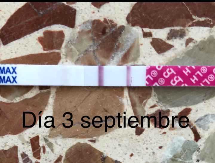 Buscadoras Septiembre 2020. 💕 - 2