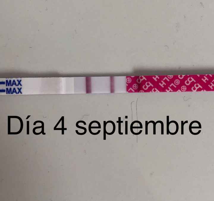 Buscadoras Septiembre 2020. 💕 - 3