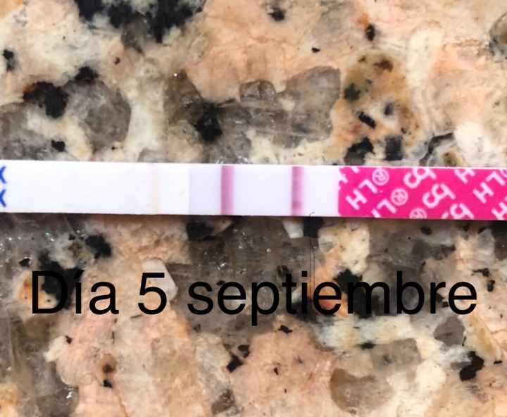 Buscadoras Septiembre 2020. 💕 - 4
