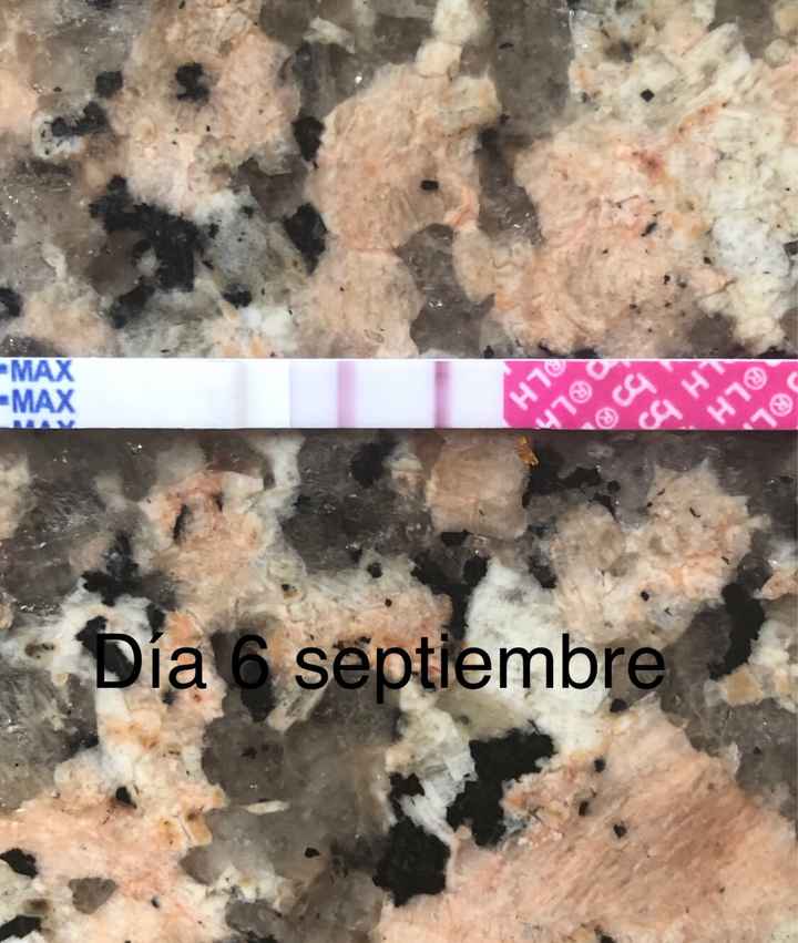 Buscadoras Septiembre 2020. 💕 - 5