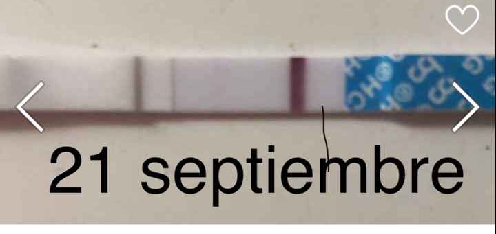 Buscadoras Septiembre 2020. 💕 - 3