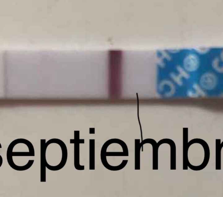 Buscadoras Septiembre 2020. 💕 - 1