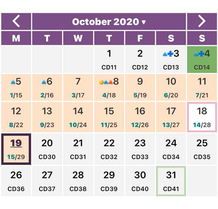 Buscadoras de Octubre 2020. ☘️ 🥑 💕 - 3
