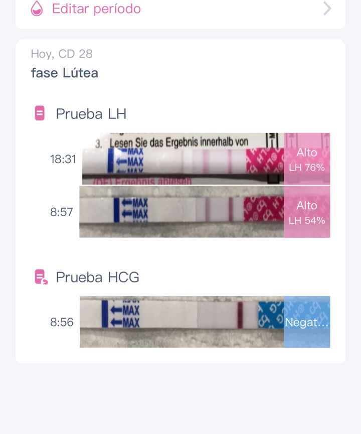 Buscadoras Enero 2021 🌼💞🤰🏼 - 1
