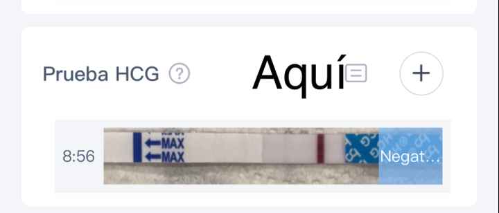 Buscadoras Enero 2021 🌼💞🤰🏼 - 1