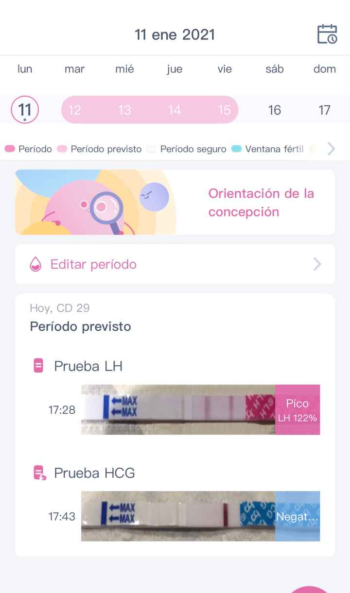 Buscadoras Enero 2021 🌼💞🤰🏼 - 1