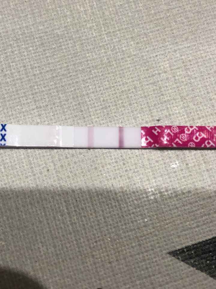 Buscadoras Enero 2021 🌼💞🤰🏼 - 1