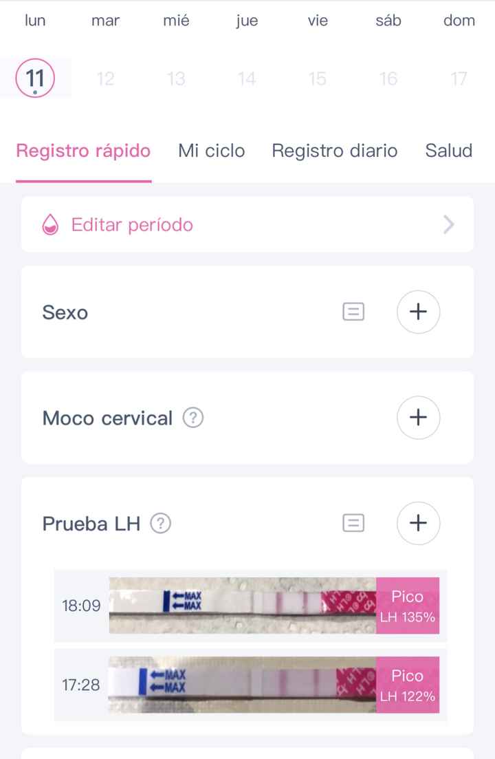 Buscadoras Enero 2021 🌼💞🤰🏼 - 2