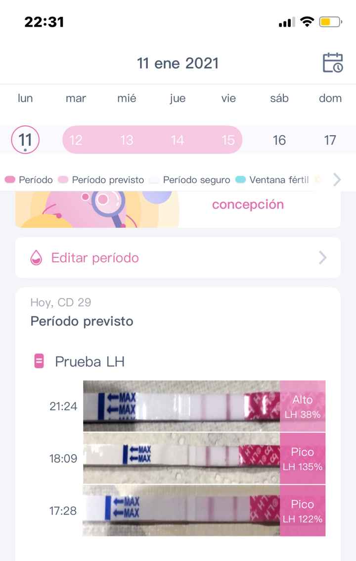 Buscadoras Enero 2021 🌼💞🤰🏼 - 1
