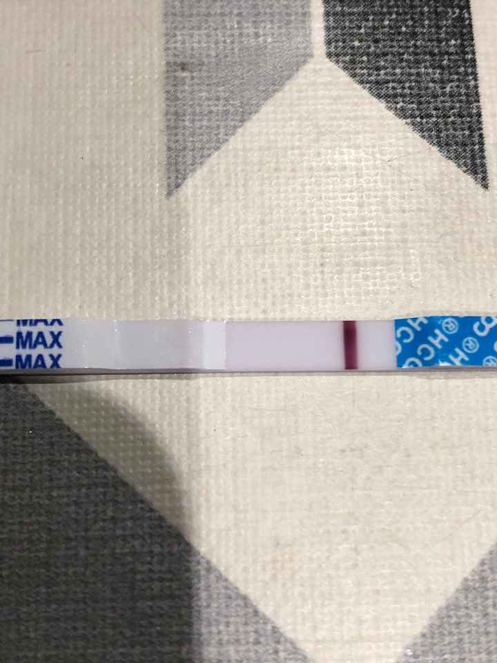 Buscadoras Enero 2021 🌼💞🤰🏼 - 1