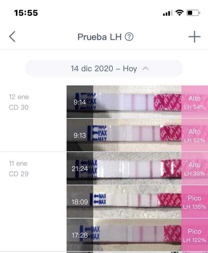 Buscadoras Enero 2021 🌼💞🤰🏼 - 1