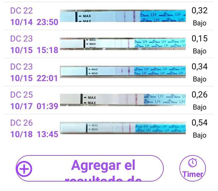 💚Buscadoras Octubre 2021 💚 - 2