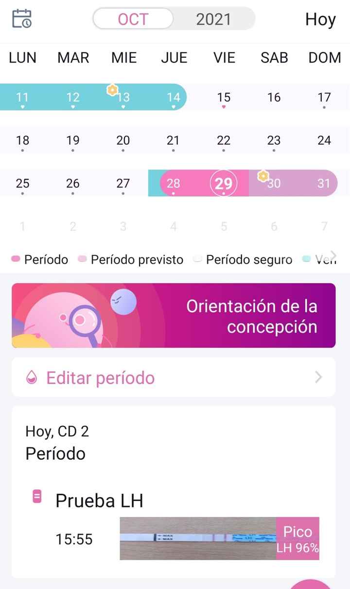 💚Buscadoras Octubre 2021 💚 - 1
