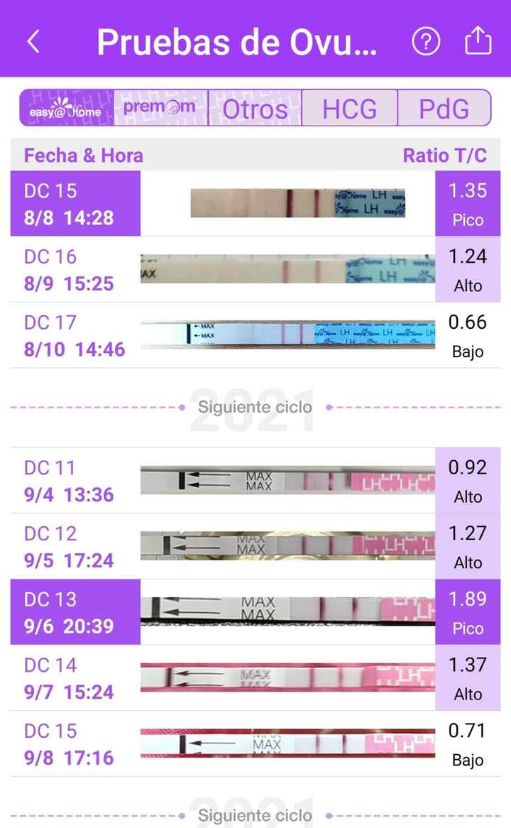 buscadoras de noviembre 🌈❤️ - 1
