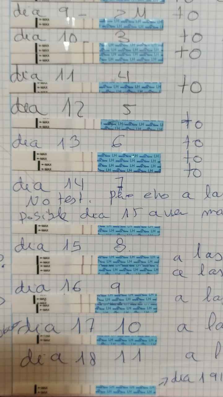 Buscadoras de diciembre 2021! - 1