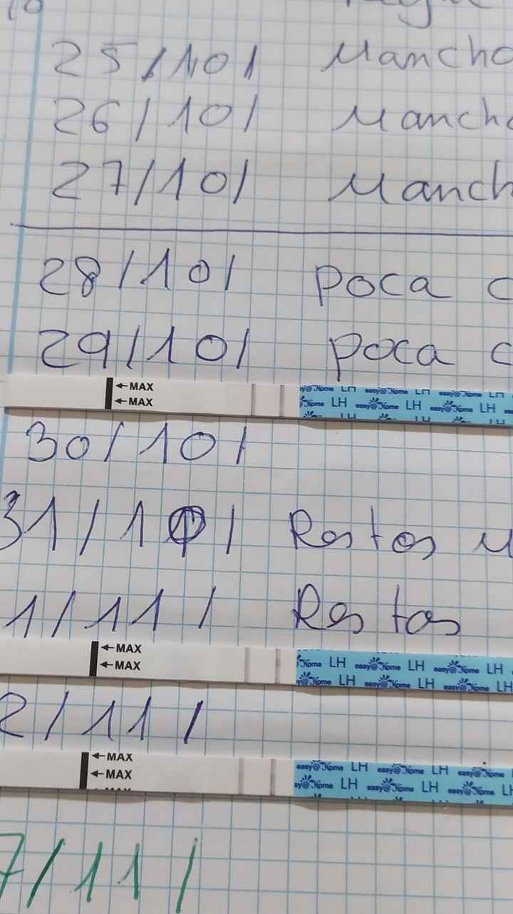 Buscadoras de diciembre 2021! - 1