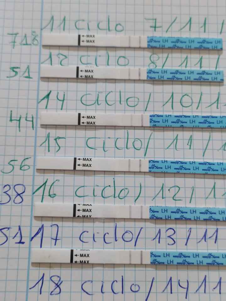 Buscadoras de diciembre 2021! - 2