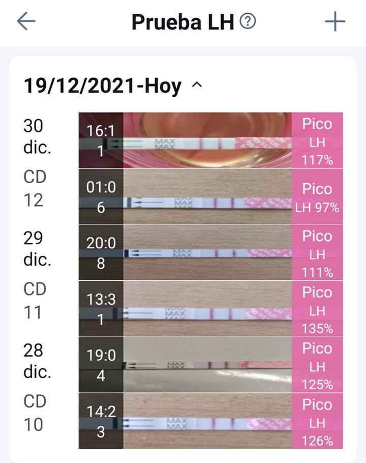 Buscadoras enero 2022 - 3